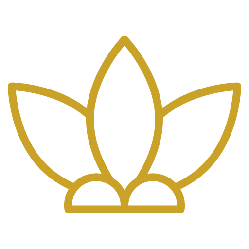 lotus flor