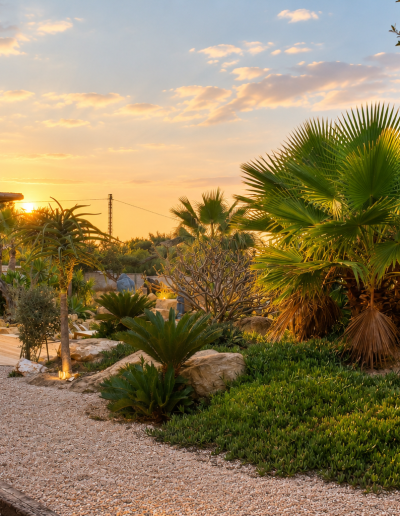 Naturaleza en Torrevieja
